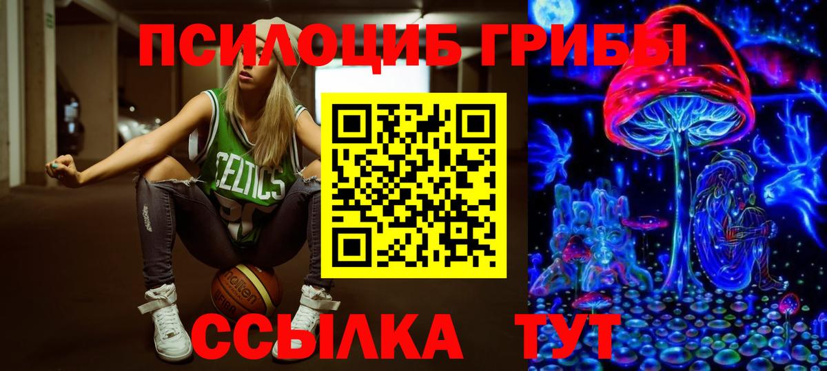 Луга  Псилоцибиновые грибы GOLDEN TEACHER  Псилоцибиновые грибы Psilocybine cubensis  Вход с VPN 